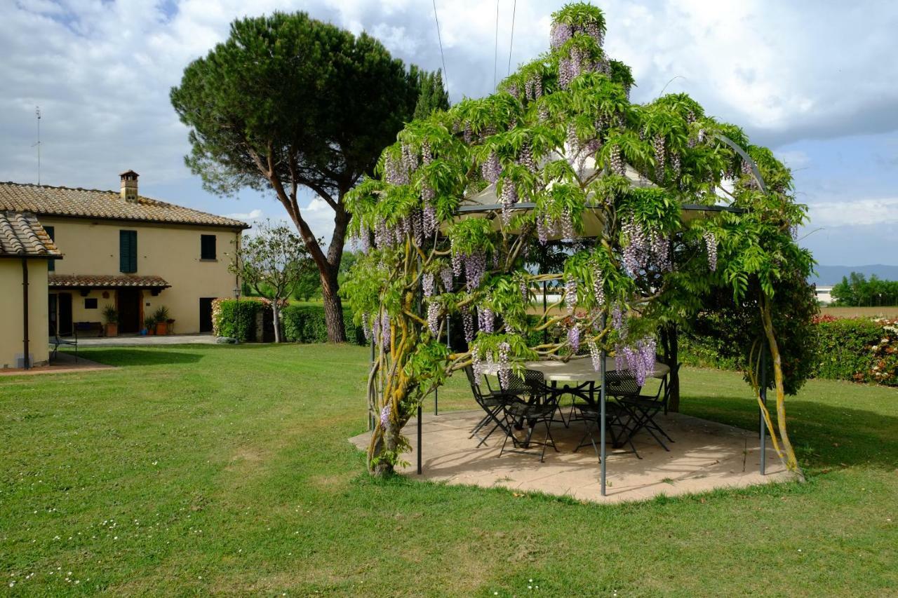 Canto De' Bacci Foiano Della Chiana Exterior photo